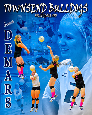 Demars-Volleyball-Poster-2013